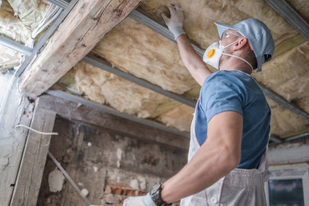 Professional Insulation Contractor in Seabrook, TX
